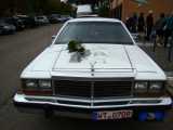 DSC02072.jpg
